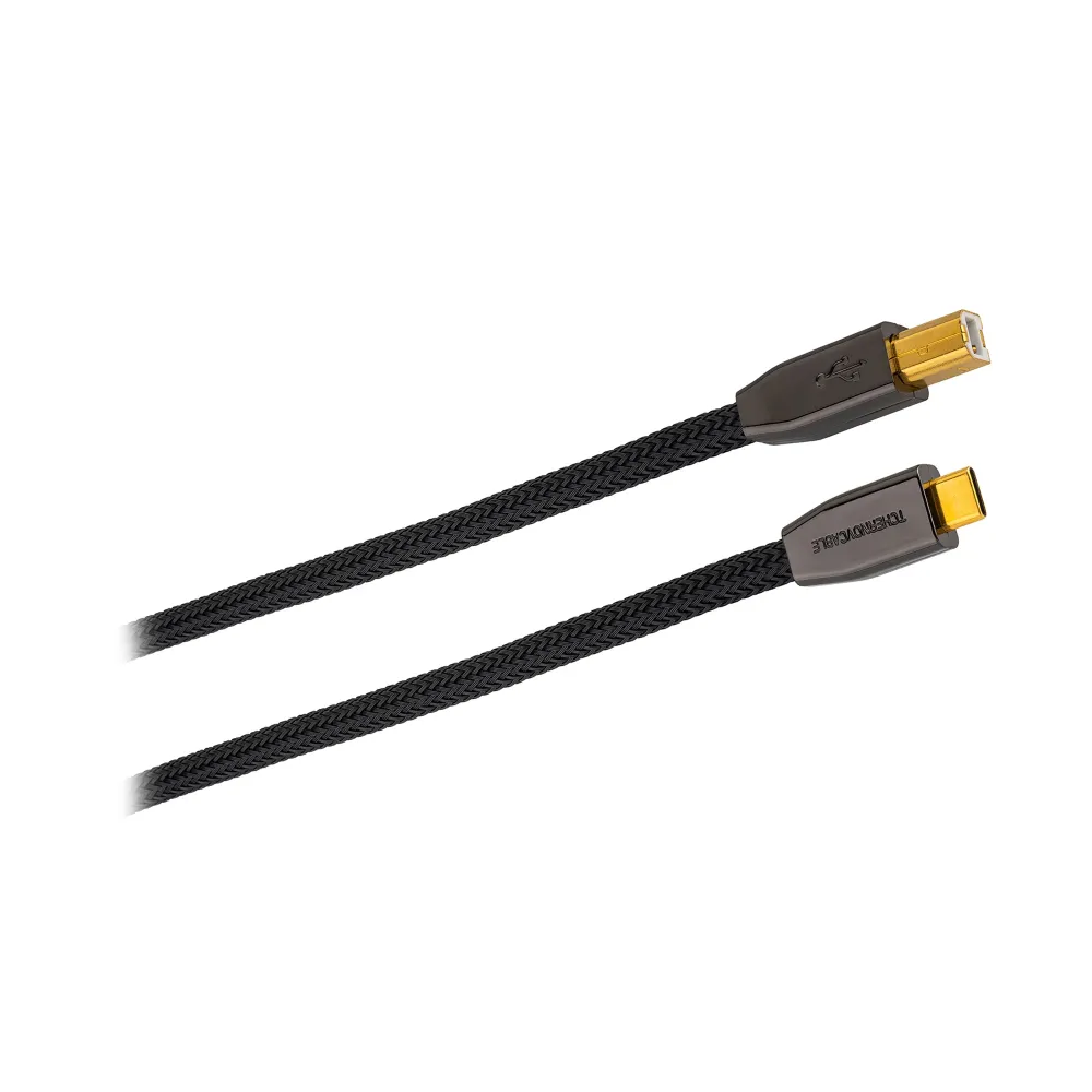 Tchernov Cable Standard USB-C - USB-B IC 5m