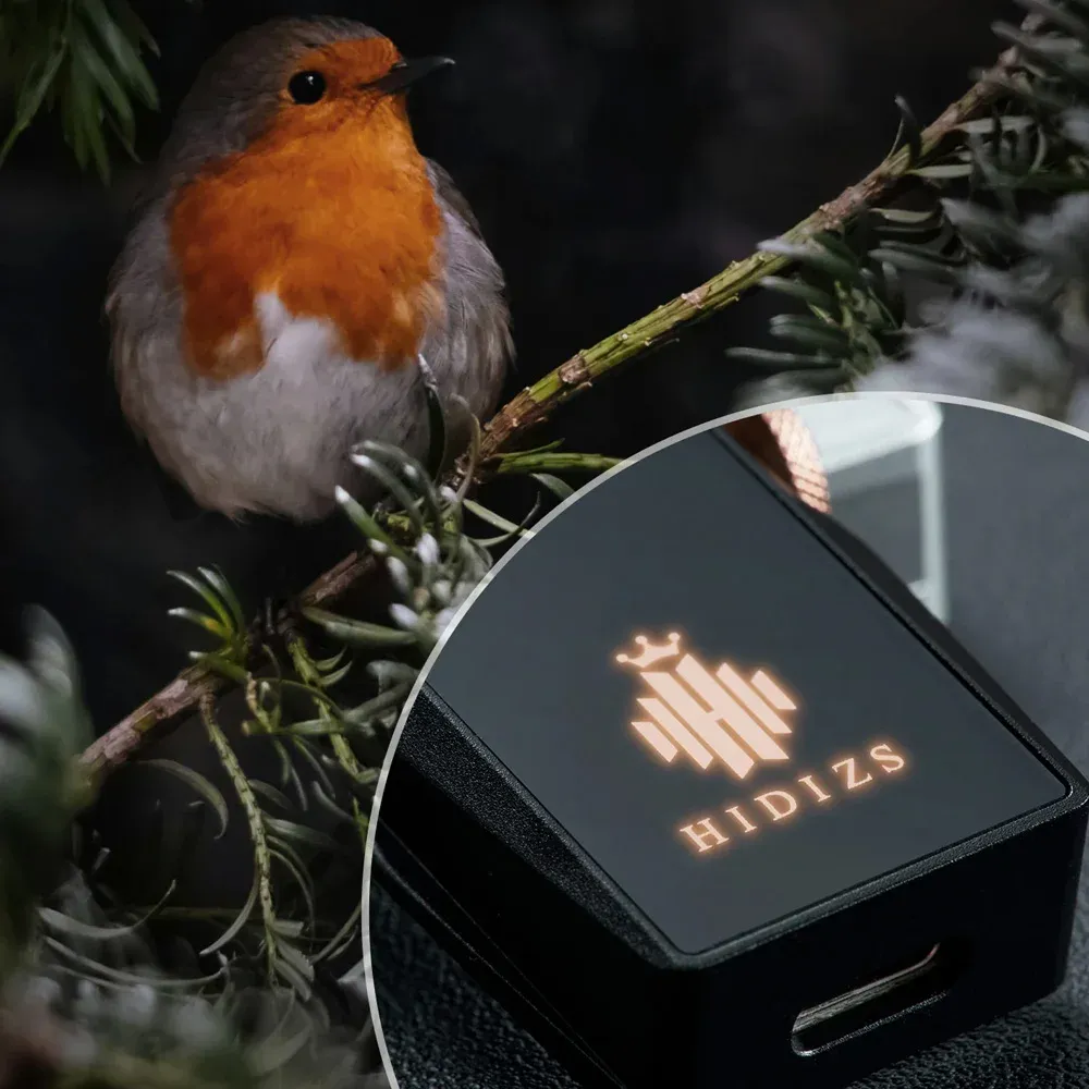 Hidizs S8 Pro Silver