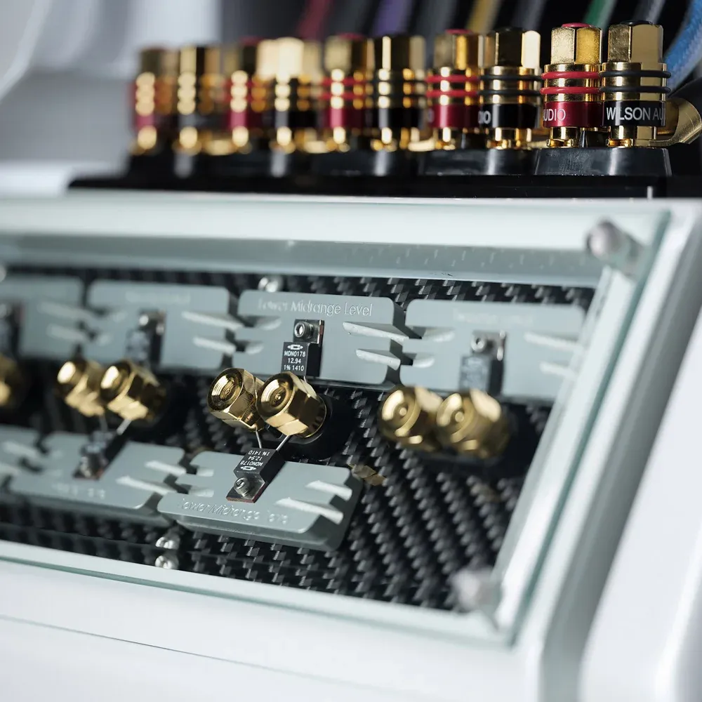 Wilson Audio Chronosonic XVX Galaxy Gray