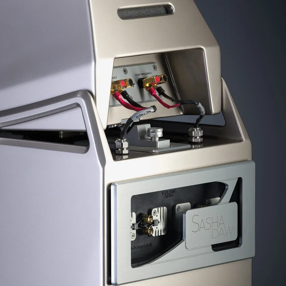 Wilson Audio Sasha DAW Galaxy Gray