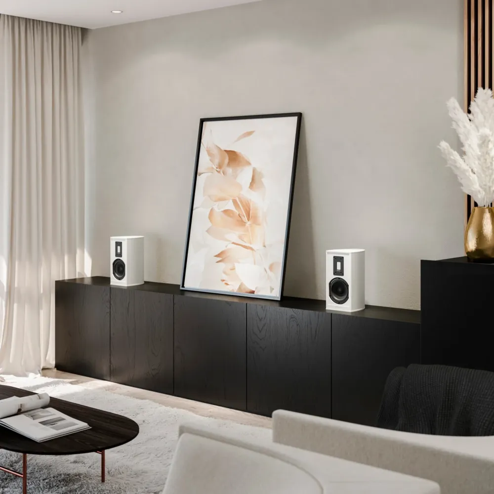 Piega Premium 301 Wireless Gen 2 Black