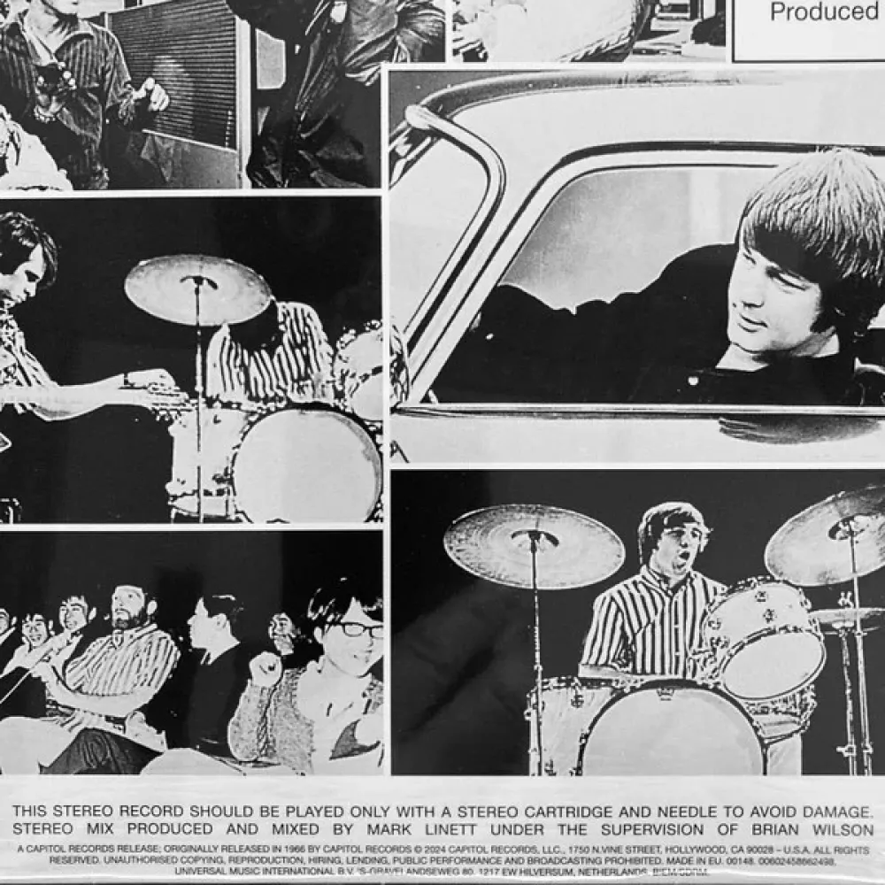 Beach Boys - The Pet Sounds (coloured) LP