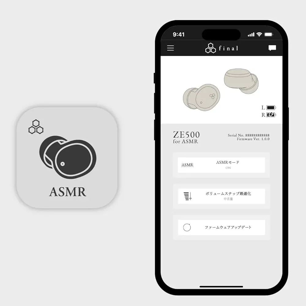 Final Audio ZE500 for ASMR Dark Gray