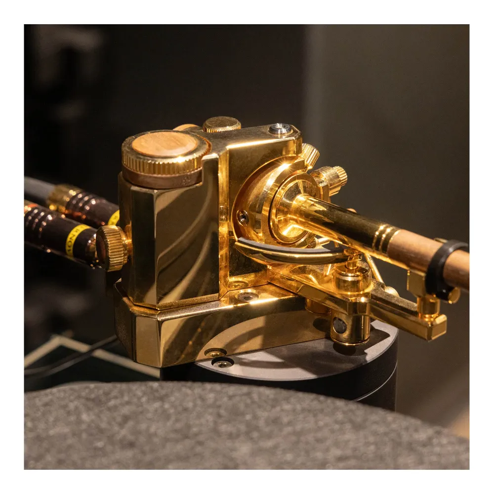 Auris Bayadere 5 Black Hawk 24k Gold Tonearm Black/Gold