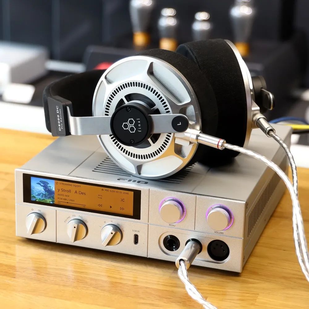 Final Audio D8000 DC Pro Edition Silver