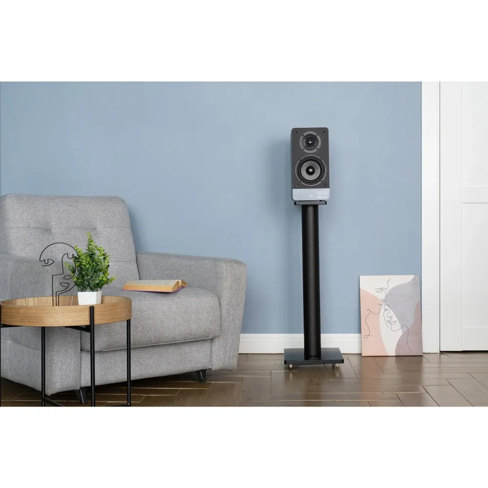 Radiotehnika S-20N Black Ash