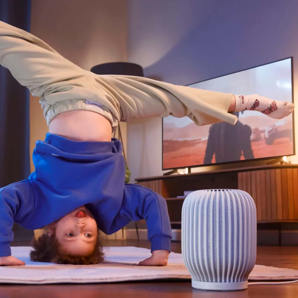 SberDevices SberBoom Light Grey