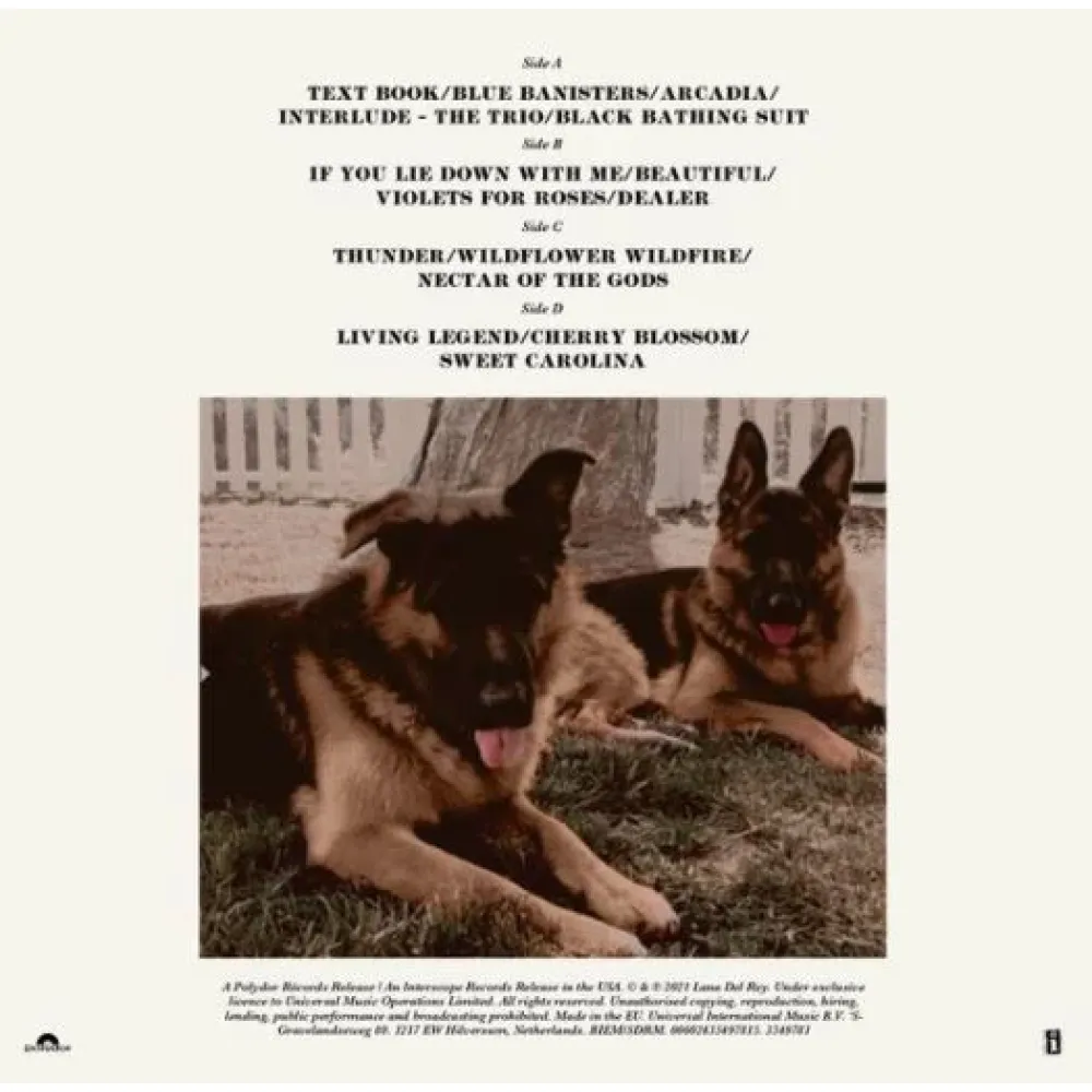 Lana Del Rey – Blue Banisters 2LP