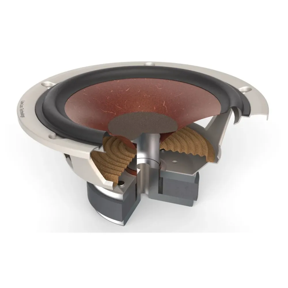 Dali Spektor Vokal white