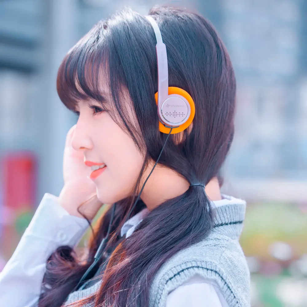 FiiO SnowSky Wind Black