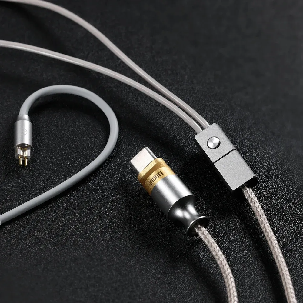 ddHiFi M110C 2-pin - USB-C Silver