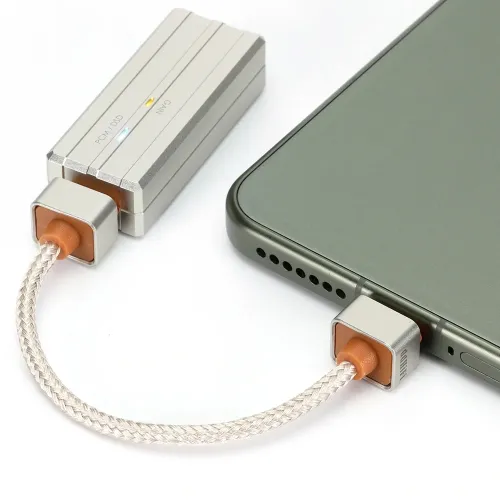 ddHiFi TC03SS USB-C to USB-C Silver
