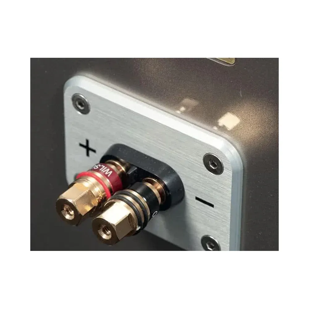 Wilson Audio Sabrina X Carbon