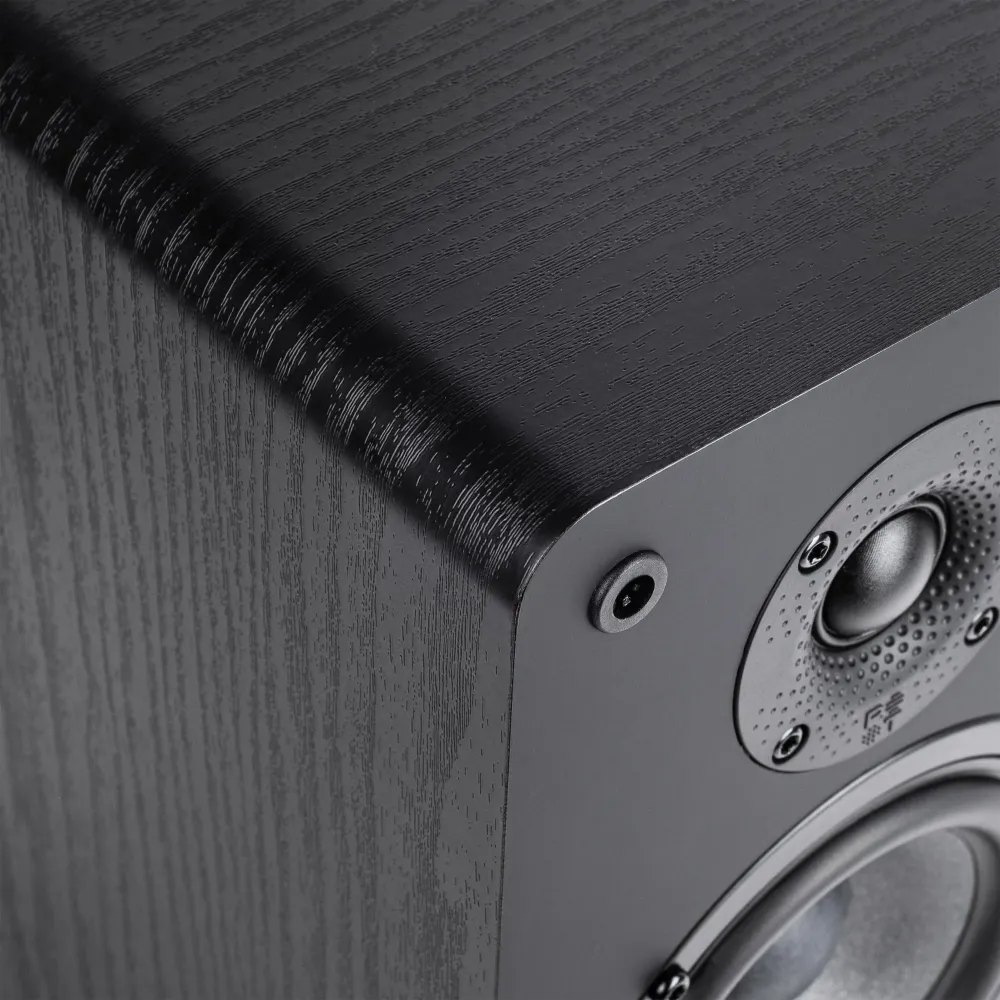 Radiotehnika S-10NA Black Ash