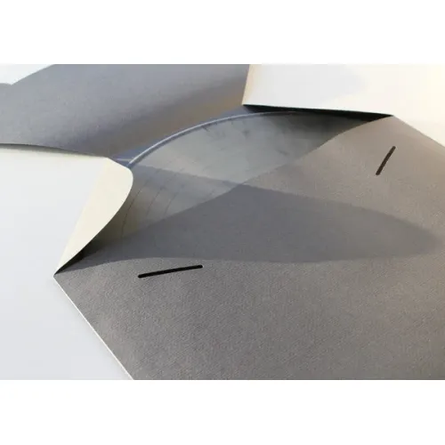 Sleepy Town Manufacture - Memorabilia 2 LP