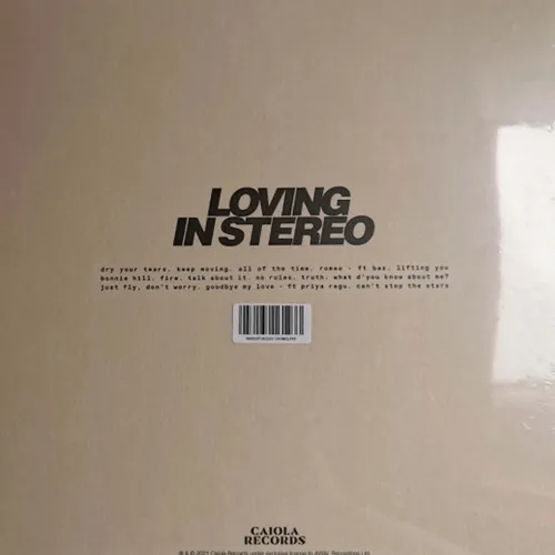 Jungle - Loving In Stereo - LP