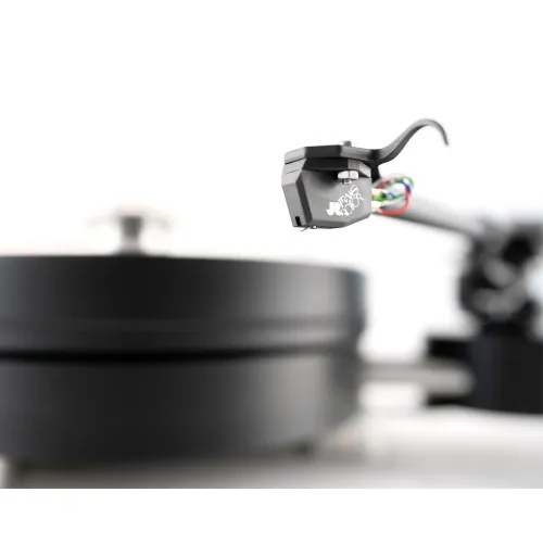 Transrotor MAX NERO Rega RB 220 Uccello