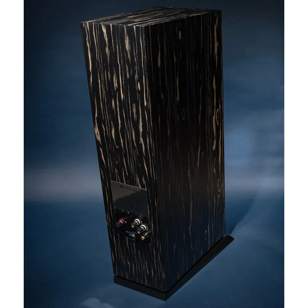 Davis Acoustics MV One Master Ebony