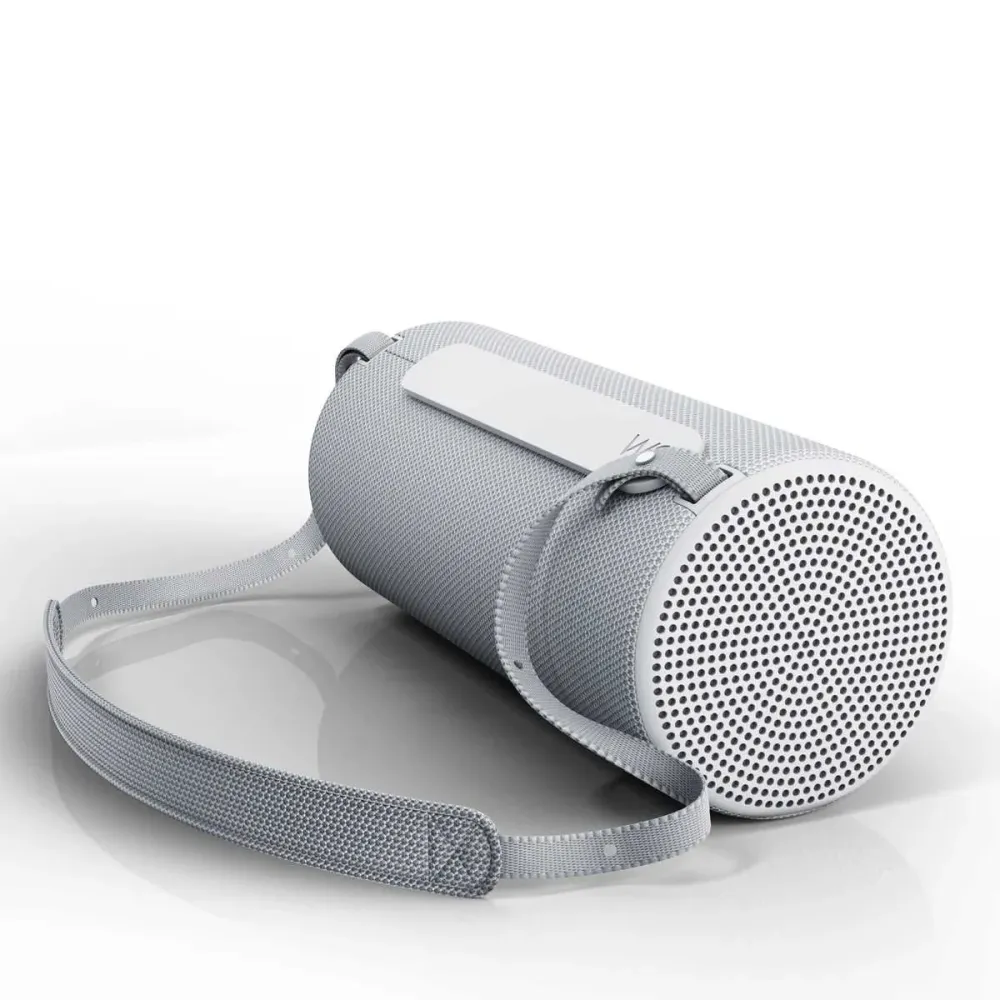 Loewe We. HEAR 2 Cool Grey