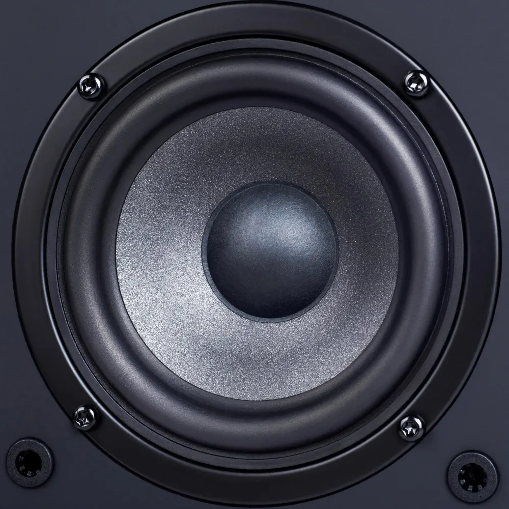 Radiotehnika S-10N Black Ash