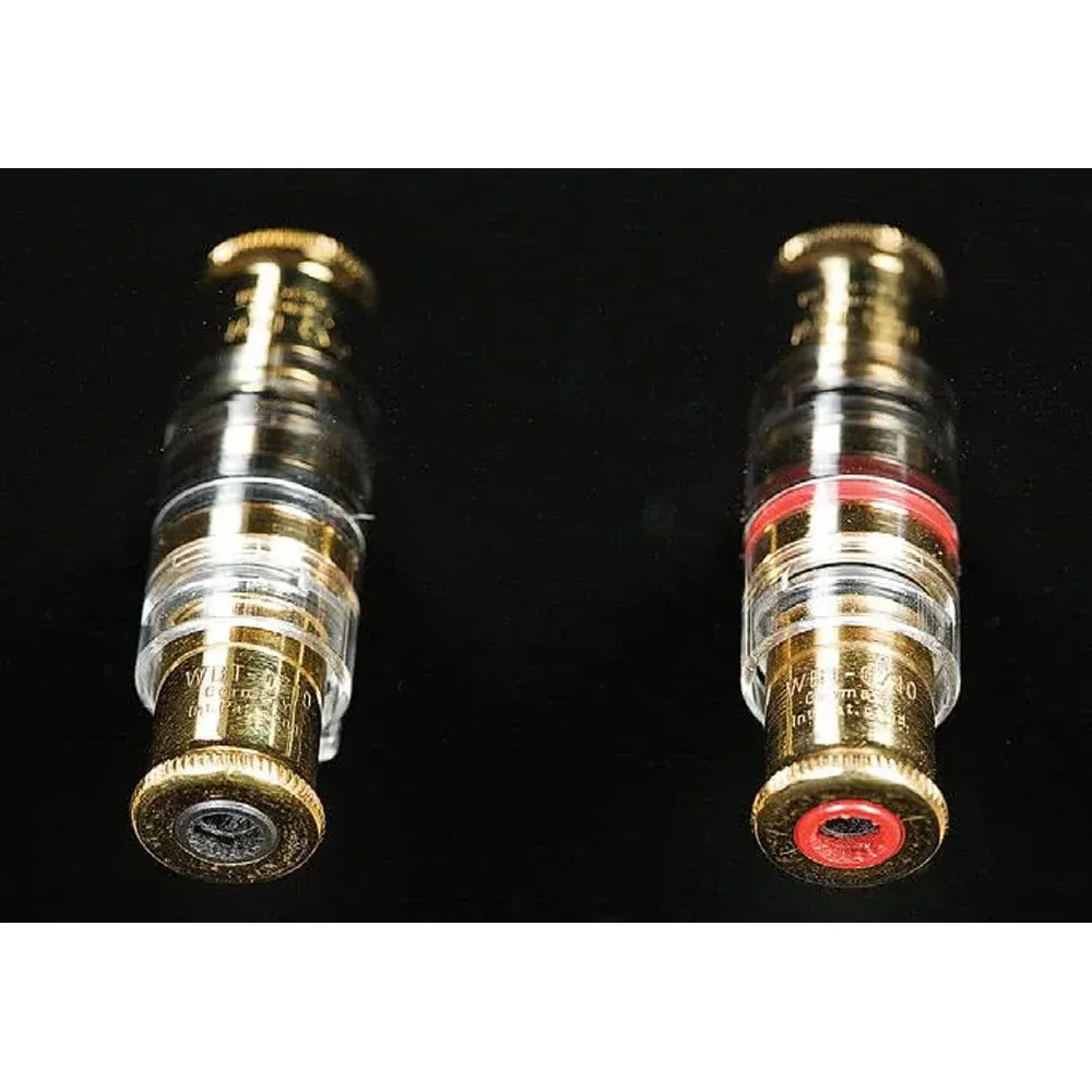 Davis Acoustics MV One Master Ebony