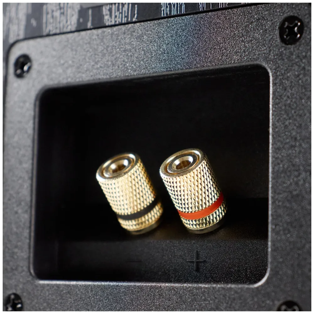 Radiotehnika S-20NA Black Ash