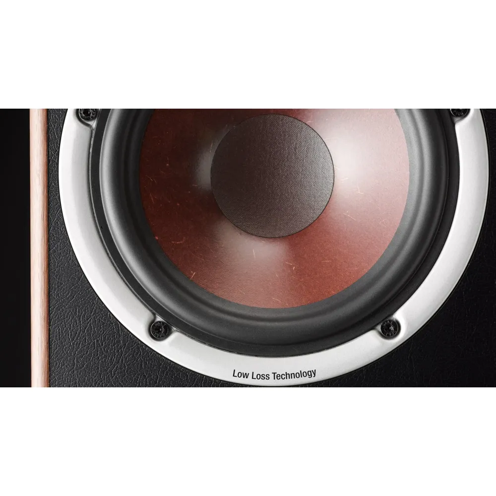 Dali Spektor Vokal walnut