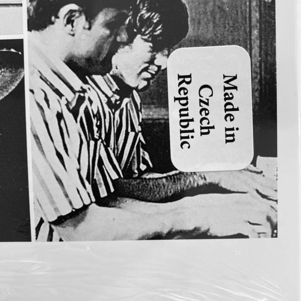 Beach Boys - The Pet Sounds (coloured) LP